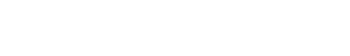light logo